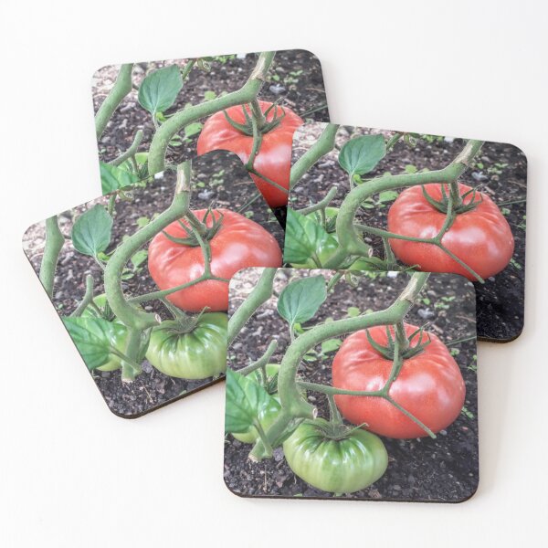 Item preview, Green and red tomatoes plants Kitchen garden Vegetables designed and sold by Tanja Dianova.
