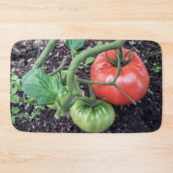 Item preview, Green and red tomatoes plants Kitchen garden Vegetables designed and sold by Tanja Dianova.