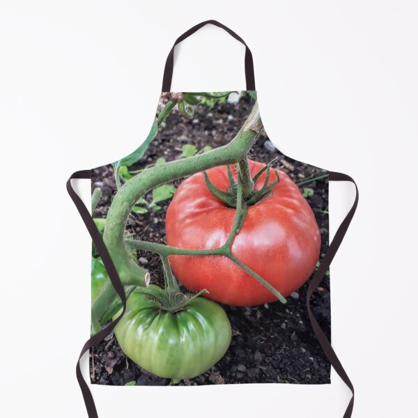 Item preview, Green and red tomatoes plants Kitchen garden Vegetables designed and sold by Tanja Dianova.