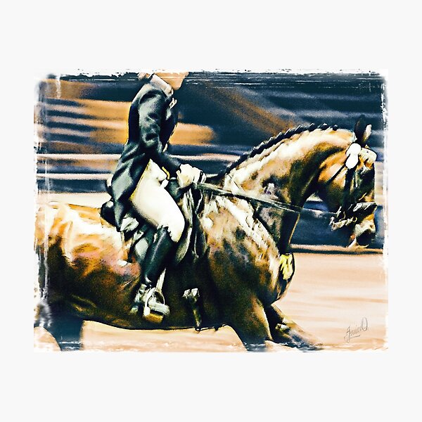 Dressage Rider Photographic Print