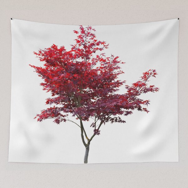 Item preview, The Colour of Autumn designed and sold by Designs By Creation.