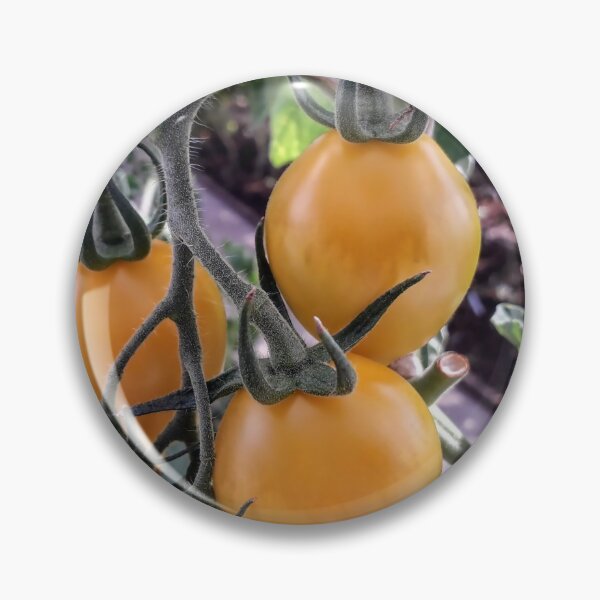 Item preview, Yellow tomatoes plants Kitchen garden Vegetables designed and sold by Tanja Dianova.