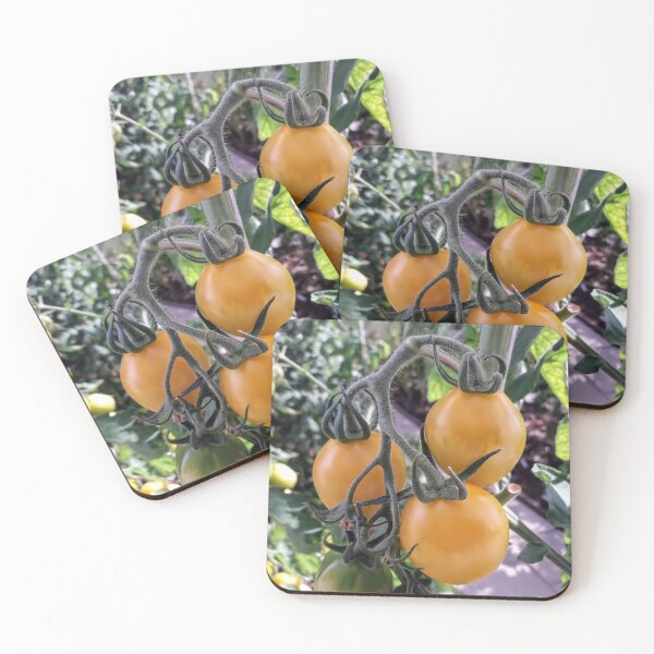 Item preview, Yellow tomatoes plants Kitchen garden Vegetables designed and sold by Tanja Dianova.