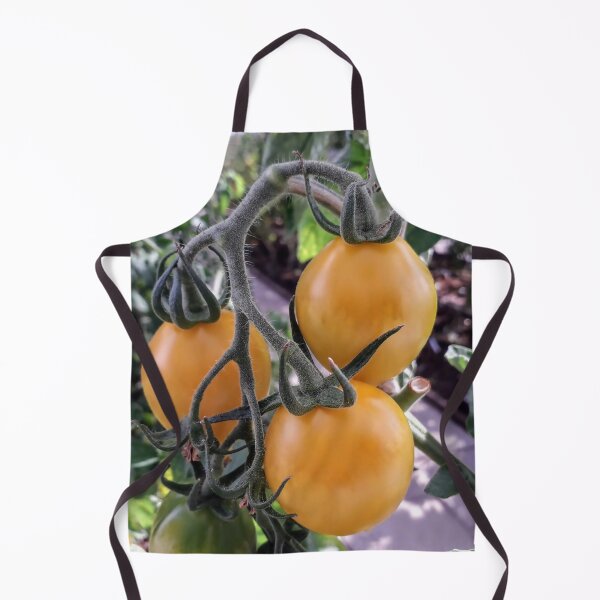 Item preview, Yellow tomatoes plants Kitchen garden Vegetables designed and sold by Tanja Dianova.