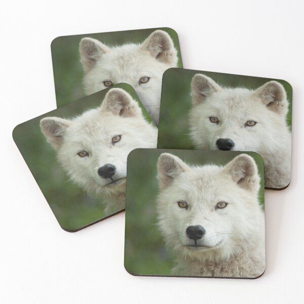Artikelvorschau, Arctic Wolf entworfen und verkauft von WolvesOnly.