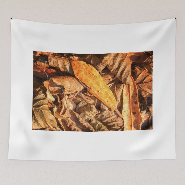Item preview, Autumnal Colours designed and sold by Lynn Bolt.