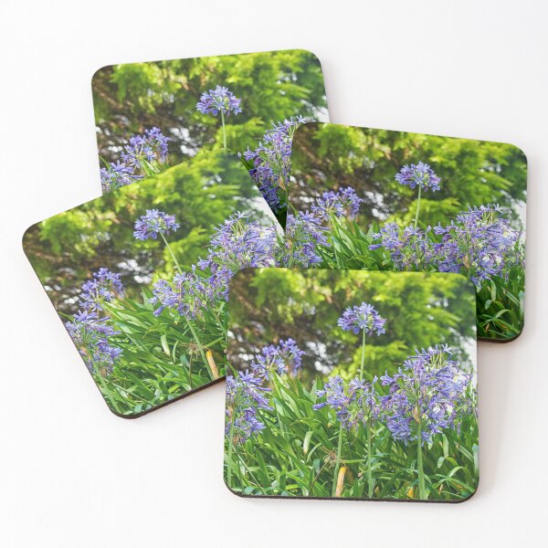 Item preview, Agapanthus (African lily) designed and sold by Photopat.