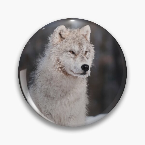 Artikelvorschau, Arctic Wolf Pup entworfen und verkauft von WolvesOnly.