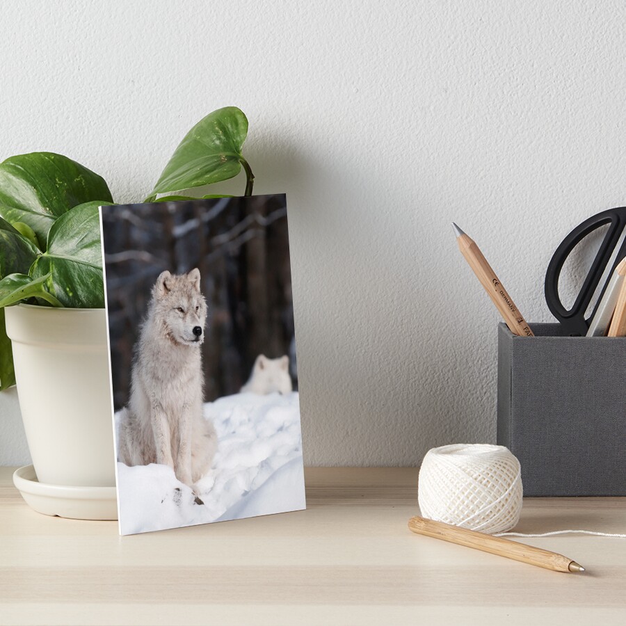 Vista previa del artículo con la obra «Lámina rígida», diseñado y vendido por WolvesOnly.