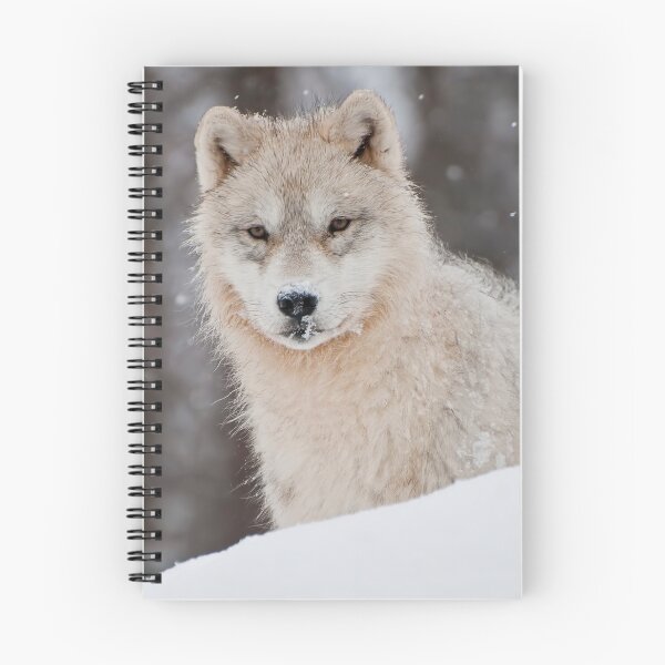 Item preview, Arctic Wolf Pup designed and sold by WolvesOnly.