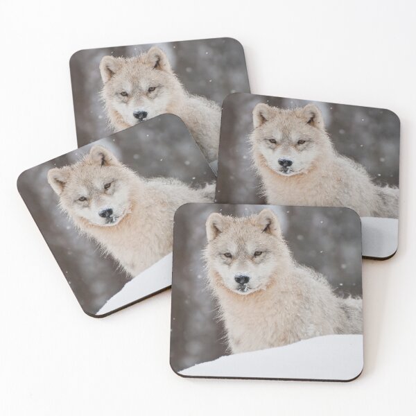 Item preview, Arctic Wolf Pup designed and sold by WolvesOnly.