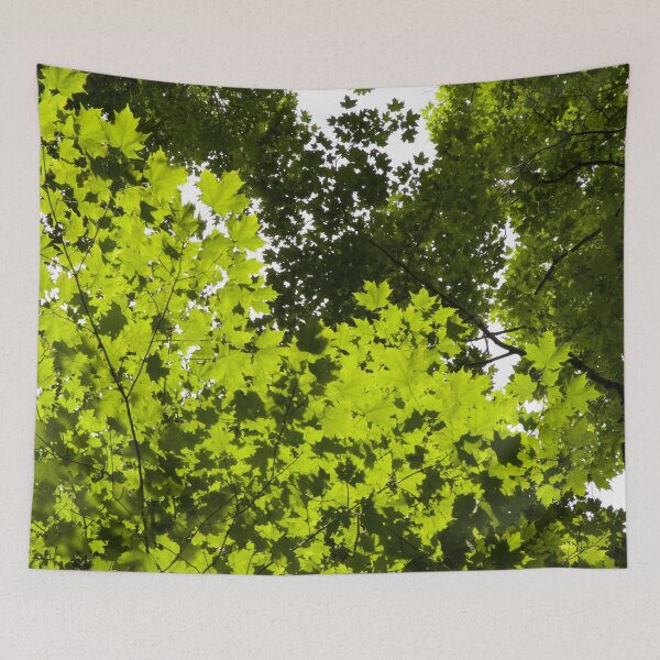 Item preview, Summer forest greenery design.  designed and sold by KamTamDesigns11.