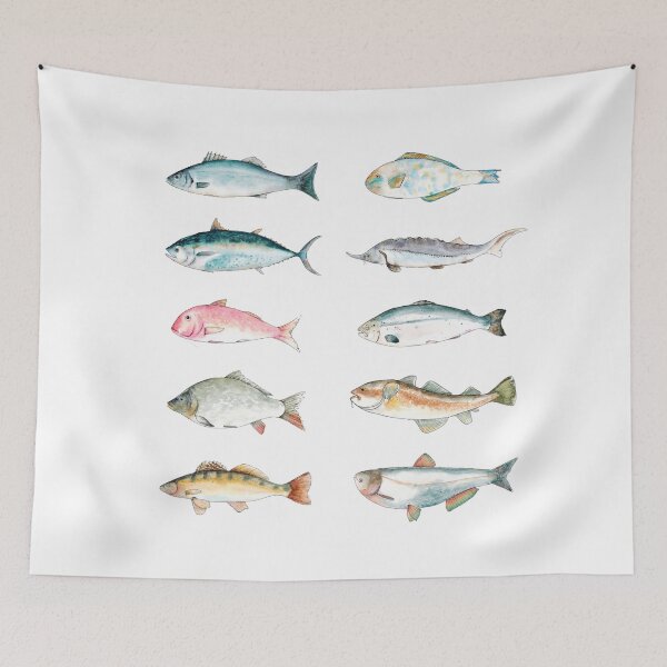 Item preview, Watercolor sketch illustration set of fish with Seabass, Tuna, Red mullet, Carp, Pike perch, Parrot fish, Sturgeon, Salmon, Cod, Silver carp designed and sold by FuzzyLogicKate.