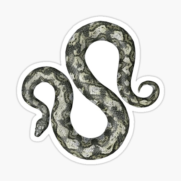 Abgottschlange, Boa Constrictor, Schlange Sticker
