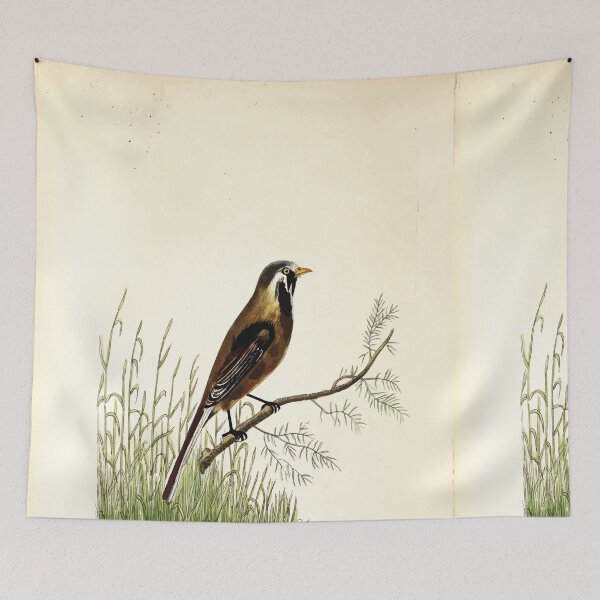 Item preview, British ornithology  being the history with a coloured representation of every known species of British birds George Graves 1821 104 designed and sold by WetdryvacRB01.