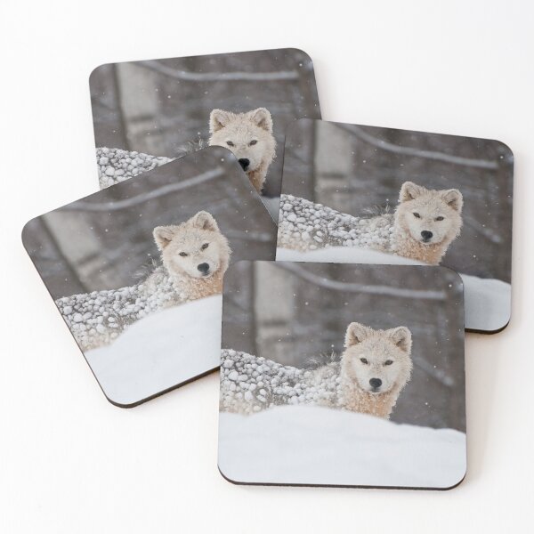 Item preview, Arctic Wolf designed and sold by WolvesOnly.
