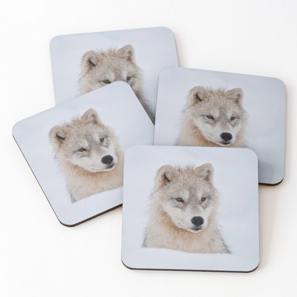 Item preview, Arctic Wolf designed and sold by WolvesOnly.