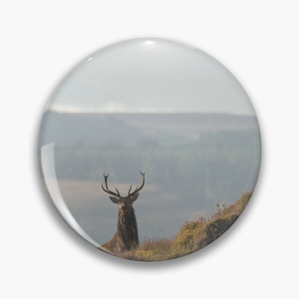 Item preview, Monarch of the Glen designed and sold by Macrae images.