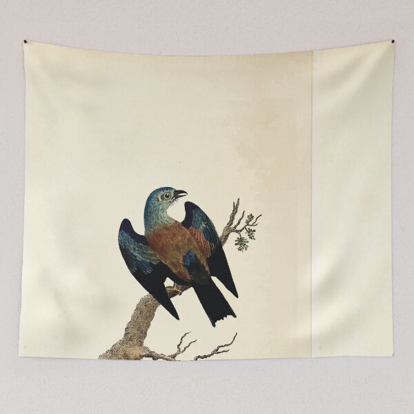 Item preview, British ornithology  being the history with a coloured representation of every known species of British birds George Graves 1821 105 designed and sold by WetdryvacRB01.