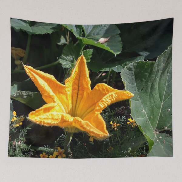 Item preview, Pumpkin blossom Yellow flower Kitchen garden Vegetables designed and sold by Tanja Dianova.