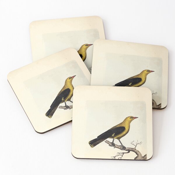 Item preview, British ornithology  being the history with a coloured representation of every known species of British birds George Graves 1821 106 designed and sold by WetdryvacRB01.