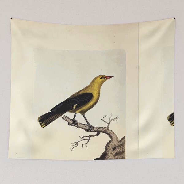 Item preview, British ornithology  being the history with a coloured representation of every known species of British birds George Graves 1821 106 designed and sold by WetdryvacRB01.