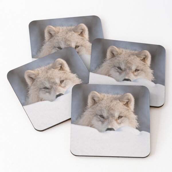 Item preview, Arctic Wolf Pup designed and sold by WolvesOnly.