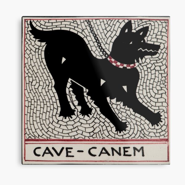 Cave canem Metal Print
