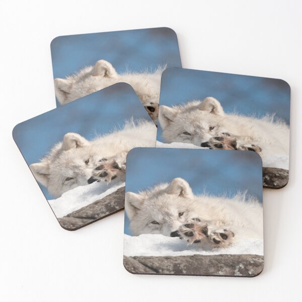 Item preview, Arctic Wolf Pup designed and sold by WolvesOnly.