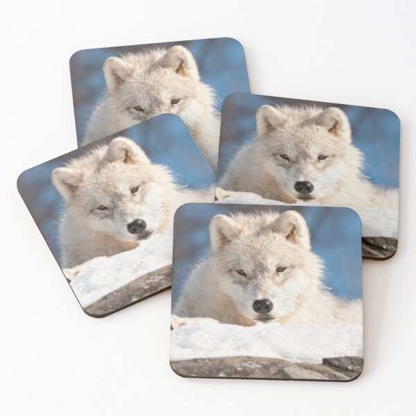 Item preview, Arctic Wolf Pup designed and sold by WolvesOnly.
