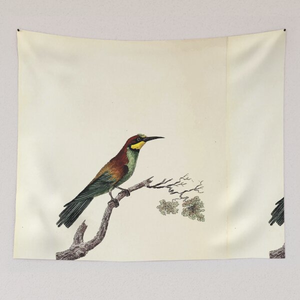 Item preview, British ornithology  being the history with a coloured representation of every known species of British birds George Graves 1821 107 designed and sold by WetdryvacRB01.