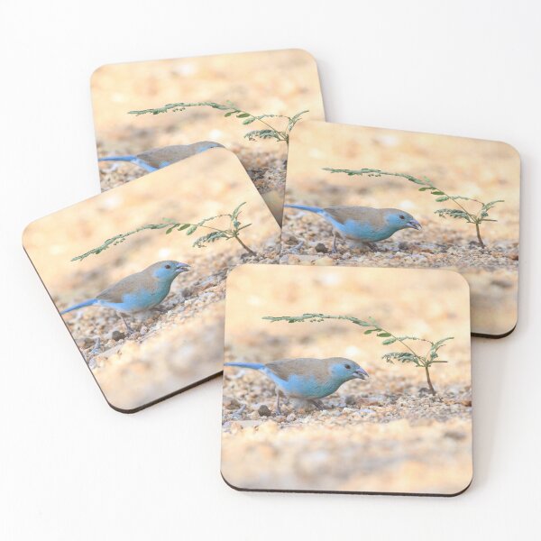 Item preview, Blue Waxbill designed and sold by Wouter van Spijker.