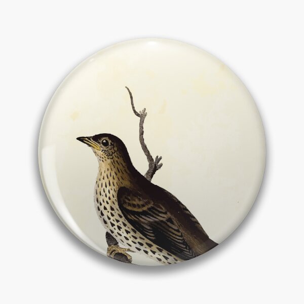 Item preview, British ornithology being the history with a coloured representation of every known species of British birds George Graves 1821 108 designed and sold by WetdryvacRB01.