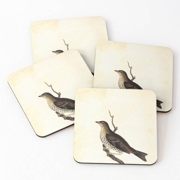 Item preview, British ornithology being the history with a coloured representation of every known species of British birds George Graves 1821 108 designed and sold by WetdryvacRB01.