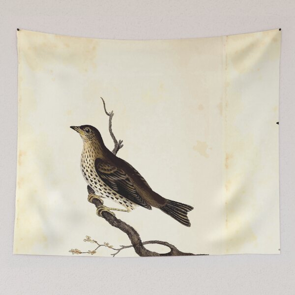 Item preview, British ornithology being the history with a coloured representation of every known species of British birds George Graves 1821 108 designed and sold by WetdryvacRB01.