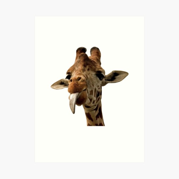 Giraffe with Cute Tongue! Art Print