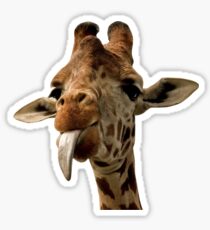 Giraffe with Cute Tongue! Sticker