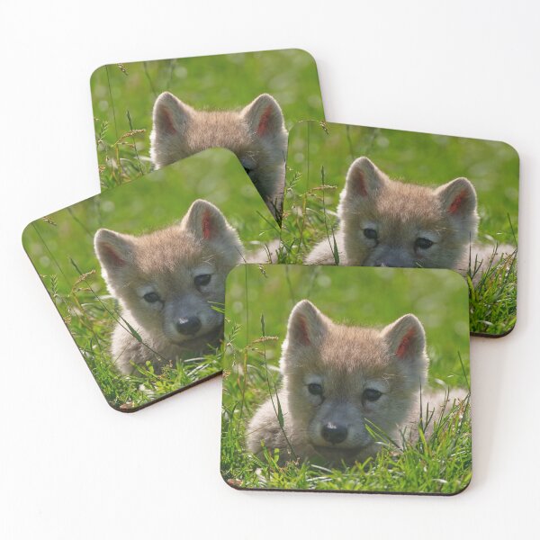 Item preview, Arctic Wolf Pup designed and sold by WolvesOnly.