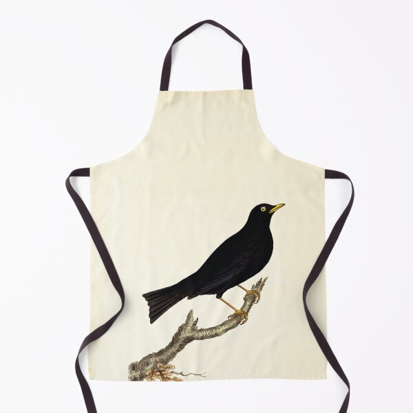 Artikelvorschau, Britische Ornithologie, die Geschichte mit einer farbigen Darstellung aller bekannten Arten britischer Vögel George Graves 1821 109 entworfen und verkauft von WetdryvacRB01.