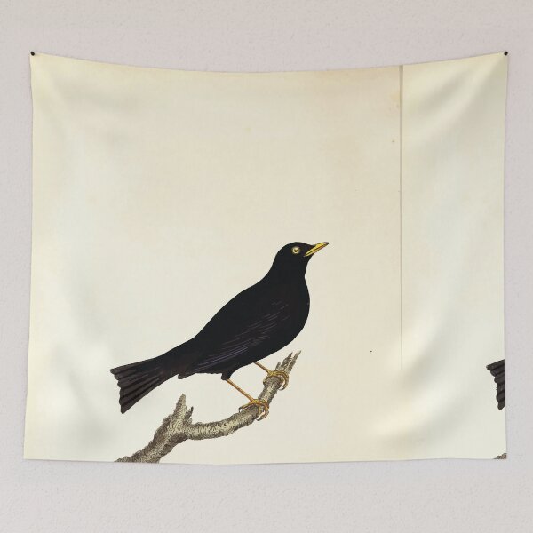 Item preview, British ornithology  being the history with a coloured representation of every known species of British birds George Graves 1821 109 designed and sold by WetdryvacRB01.