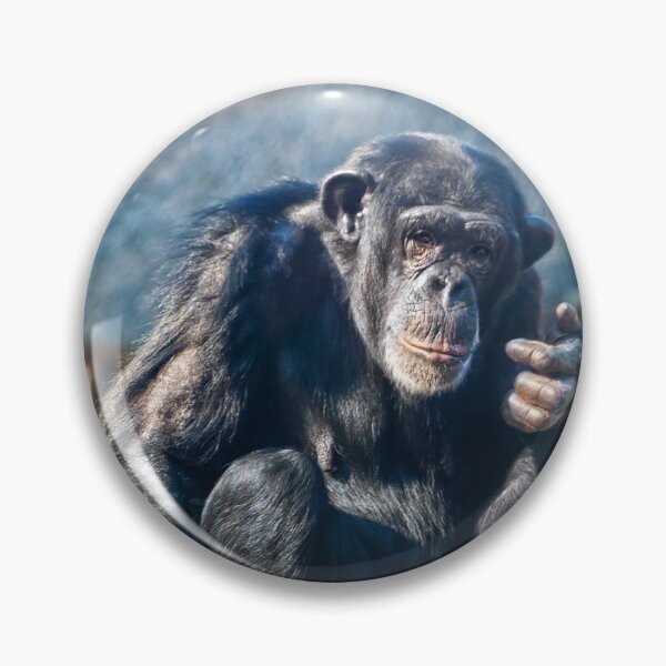 Artikelvorschau, Chimpanzee entworfen und verkauft von Vac1.