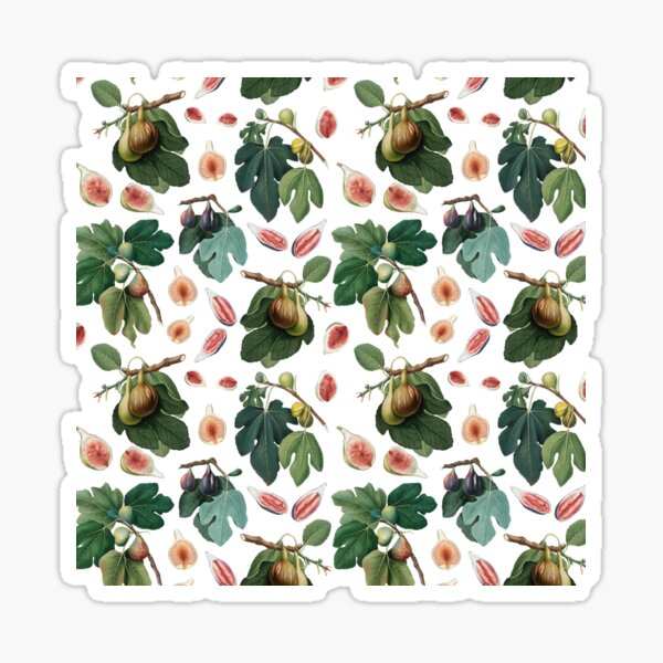 Figs On The Tree Pattern Sticker