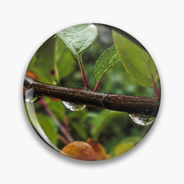 Item preview, Dew designed and sold by Barry W  King.