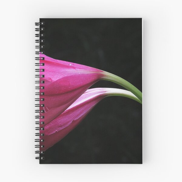 Item preview, Pink Lily Twosome  designed and sold by Roger Easley.