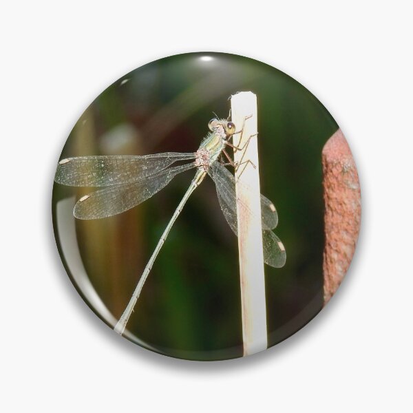 Artikelvorschau, Emerald Damselfly entworfen und verkauft von Martina Nicolls.