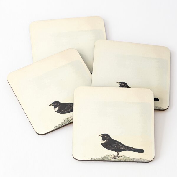 Item preview, British ornithology  being the history with a coloured representation of every known species of British birds George Graves 1821 110 designed and sold by WetdryvacRB01.