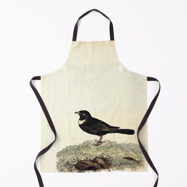 Item preview, British ornithology  being the history with a coloured representation of every known species of British birds George Graves 1821 110 designed and sold by WetdryvacRB01.