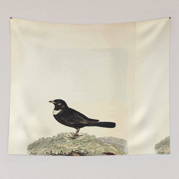Item preview, British ornithology  being the history with a coloured representation of every known species of British birds George Graves 1821 110 designed and sold by WetdryvacRB01.