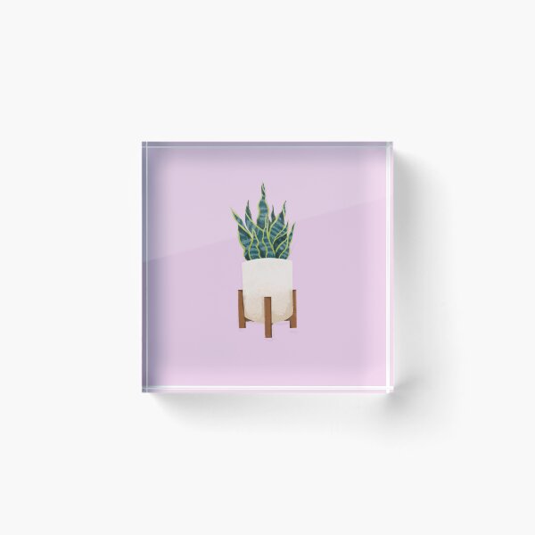 Item preview, Snake Plant House Plant designed and sold by inkohitpsd.