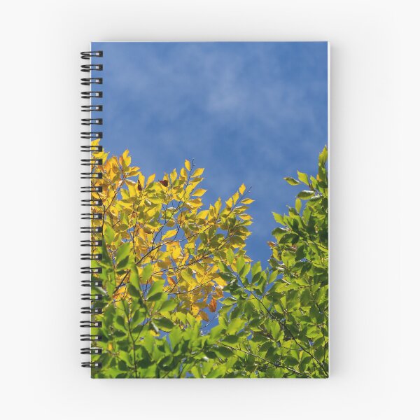 Item preview, Bright fall foliage. designed and sold by KamTamDesigns11.